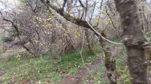 ⚓ЯЛТА? БАКУНИНСКИЙ ?️ПРОЕЗД☦️✝️ КЛАДБИЩЕ???????️?