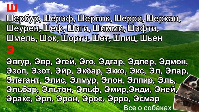 Клички собак. Кобели. Ч-Я смотреть онлайн