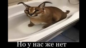 Мама полотенце обасролось 😲