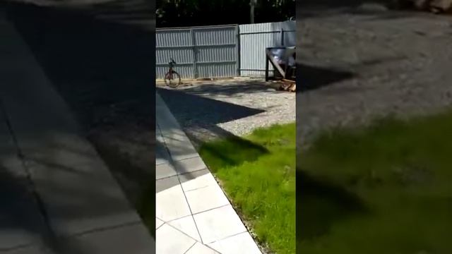 Отзыв заказчика смотреть онлайн