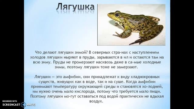 Есть ли жизнь в воде подо льдом? смотреть онлайн