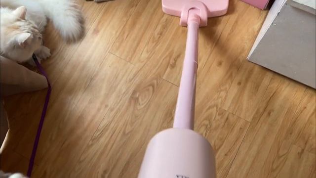 VetMed Diaries ep. 1 ? ? | Getting My Cat Spayed | Spay After Care ? смотреть онлайн