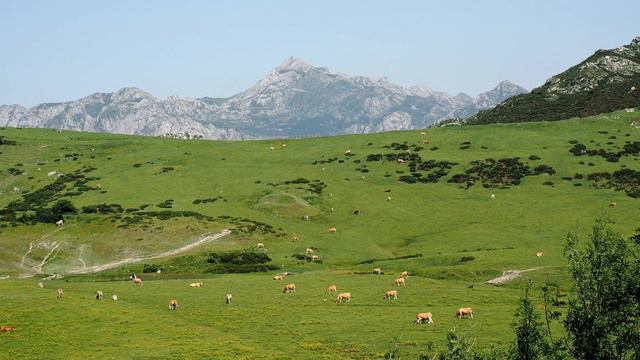 Covadonga (Asturias, España) смотреть онлайн