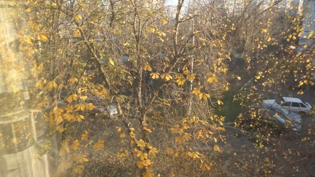 Золотой Каштановый Листопад смотреть онлайн