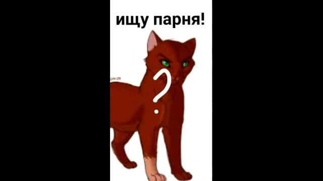Ищу парня!……… смотреть онлайн