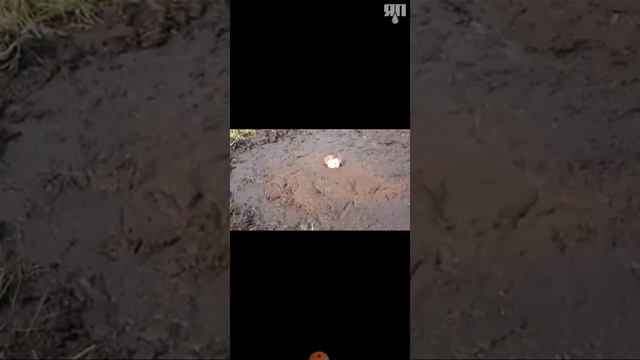 Утонул в болоте(трясине)- полное видео смотреть онлайн