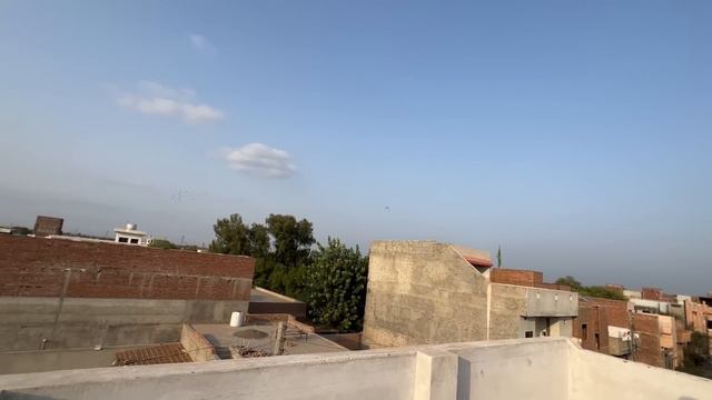 Wild Birds Hmare Pass Agaiy😍Azadi Mubark смотреть онлайн