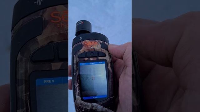 Seek Thermal Reveal XR como 2 часть смотреть онлайн