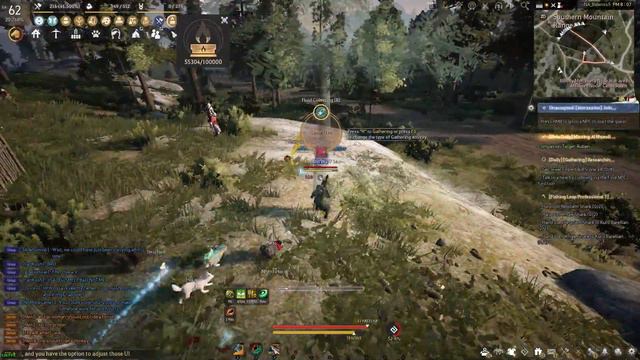 BDO - Cedar Sap Rotation смотреть онлайн