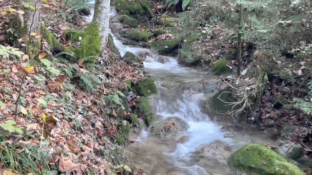 France Alpes les montagnes BELLEVAU Франция Альпы смотреть онлайн