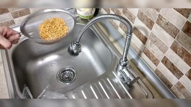 Как проращивать пшеницу.Как прорастить пшеницу смотреть онлайн