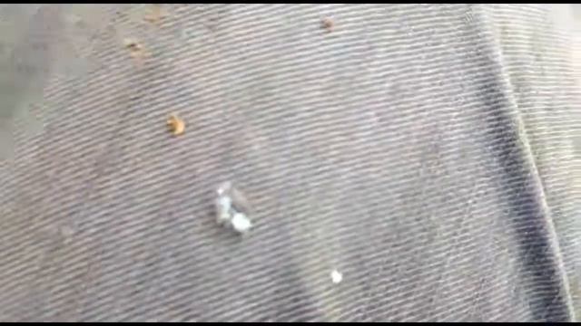 Золото!!! Римский перстень в пашне) смотреть онлайн