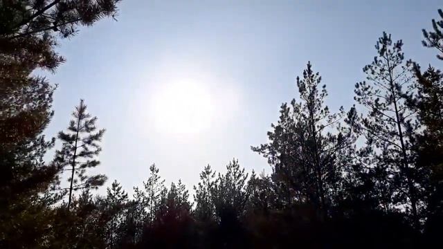 Религия - это бесовская чаша смотреть онлайн