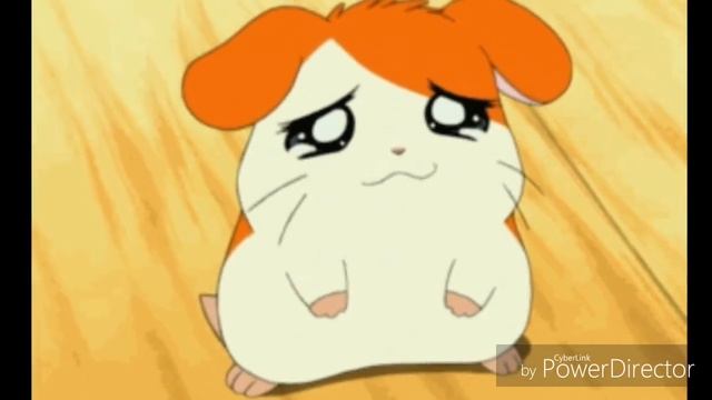 Няшка аплодисменты '' звук аплодисментов'' смотреть онлайн