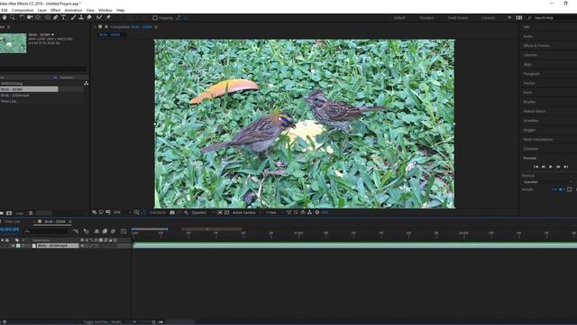 TimeLine Basic knowledge - After Effect Bangla Tutorial смотреть онлайн