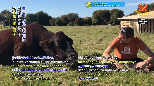 Shining World Compassion Award Recipient: Jeremy Hess 光耀世界愛心獎得主：傑瑞米‧赫斯先生（純素者）培養愛心善待社區動物 смотреть онлайн