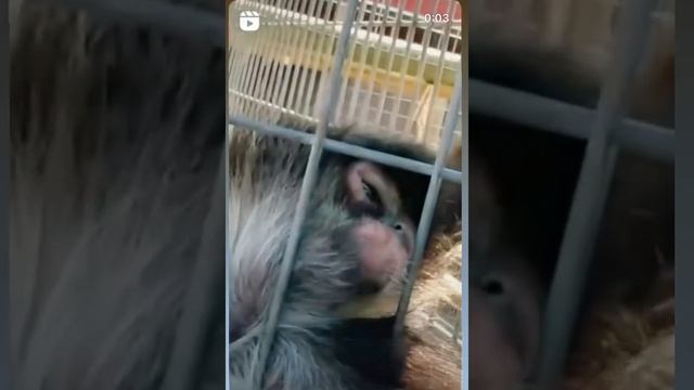 Не это ли любовь? смотреть онлайн