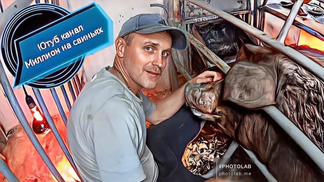 СЛОЖНЫЙ ОПОРОС У СВИНОМАТКИ ПОРОДЫ ДЮРОК ‼️ДОСТАВАЛ ПОРОСЯТ смотреть онлайн