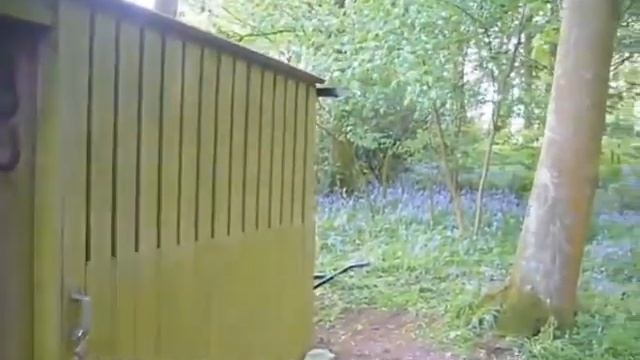 rbc10v3.m4v смотреть онлайн