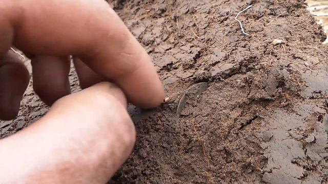 НАШЕЛ УРОЧИЩЕ XVIII ВЕКА! КОП ЦАРСКИХ МОНЕТ, ПОИСК СТАРИНЫ, НАХОДКИ С МЕТАЛЛОИСКАТЕЛЕМ смотреть онлайн