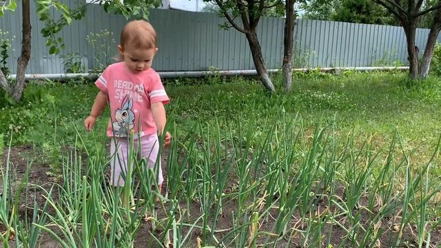 Один летний день из жизни малыша. Режим дня в 1 год и 10 месяцев смотреть онлайн
