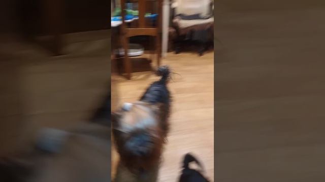 11 января 2024 г.