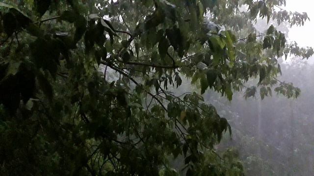 2021 москва тропическимй ливень 29 июня смотреть онлайн