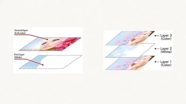 Mimaki Software: RasterLink Software