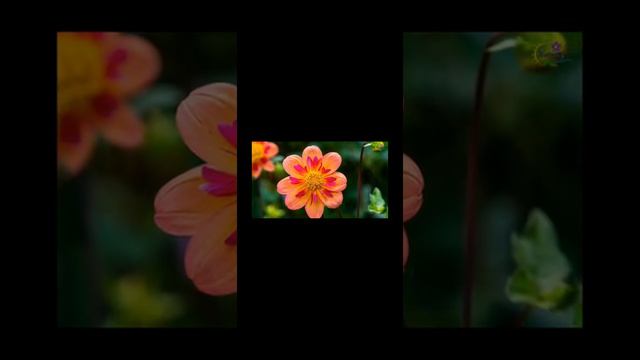 Ценность человека не в словах его, а в действиях... смотреть онлайн