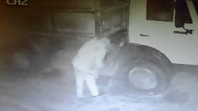 Изображение 001 смотреть онлайн