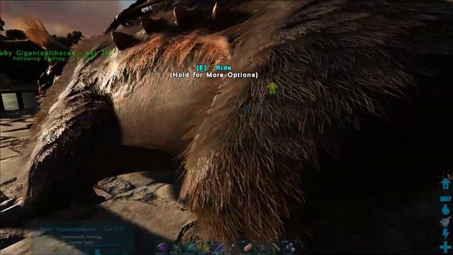 Maewing Taming Nursing and Wyvern Egg Grab: Ark Lost Island Ep 24 - Ark Survival Evolved Gameplay смотреть онлайн