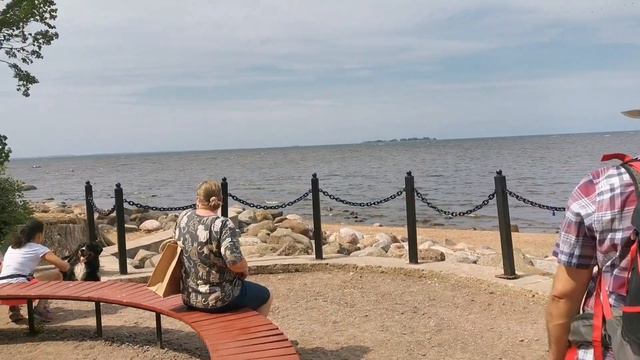 Парк и пляж "Дубки" в Сестрорецке. Оазис курорта. смотреть онлайн