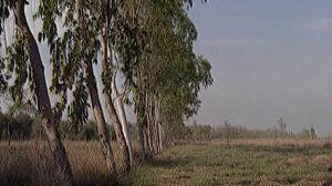 Himalayas Terai Valley, Nepal by Asiatravel.com