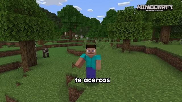 50 Mitos de JAVA vs BEDROCK! смотреть онлайн