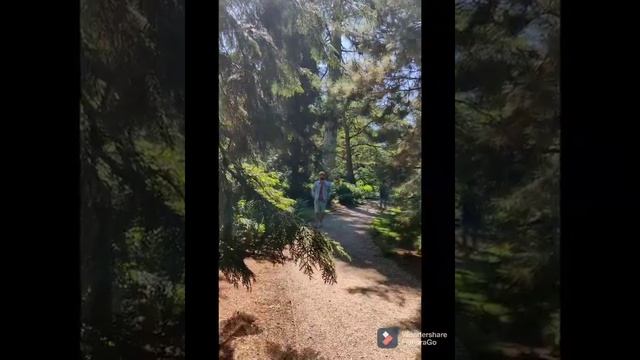 Pinetum Botanical Garden | Hilversum | Netherlands смотреть онлайн