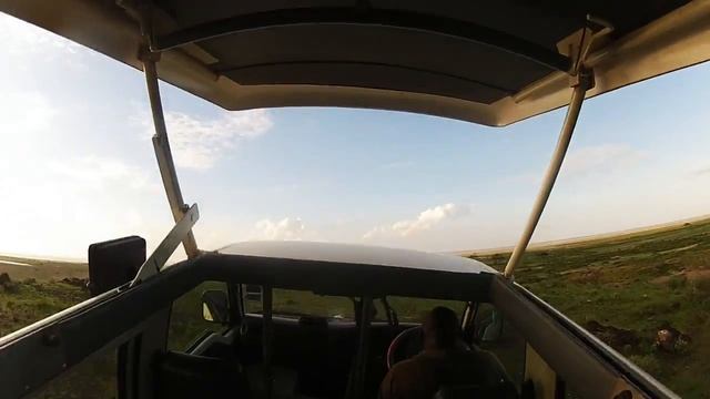 Kenya Afrika - Safari through Amboseli National Park, Kilimanjaro [HD] смотреть онлайн
