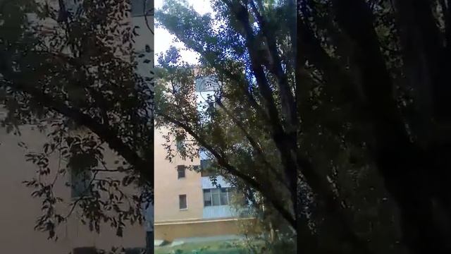 Вот такой погода в г.Волгодонске,Ростовская область. смотреть онлайн