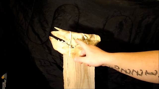 SLINGSHOT Vs PIG SKULL !!! catapult impact destruction shooting video смотреть онлайн