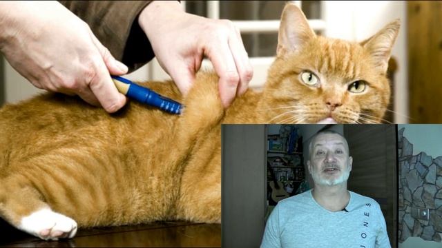 Укол. Нет ничего проще. Делаем подкожную инъекцию. смотреть онлайн
