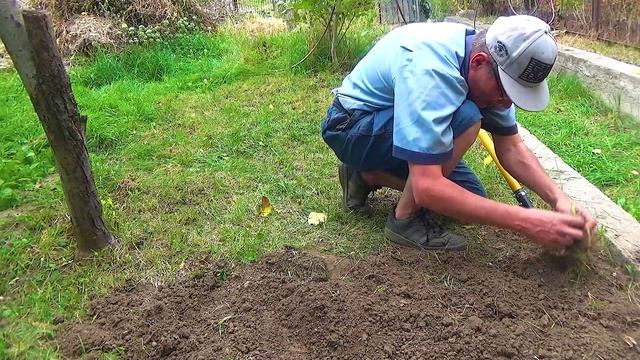 7 Много ненужных корней в земле (2).mp4 смотреть онлайн
