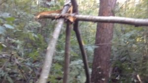 Как сделать ШАЛАШ !!! Без гвоздей и верёвок .