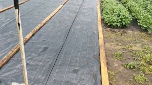 Чем закрепляем УКРЫВНОЙ МАТЕРИАЛ.