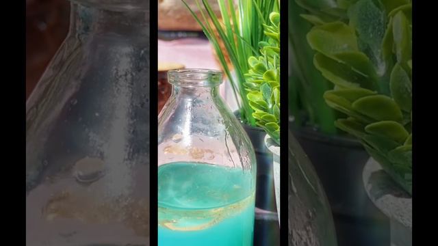 Райский сад ✨