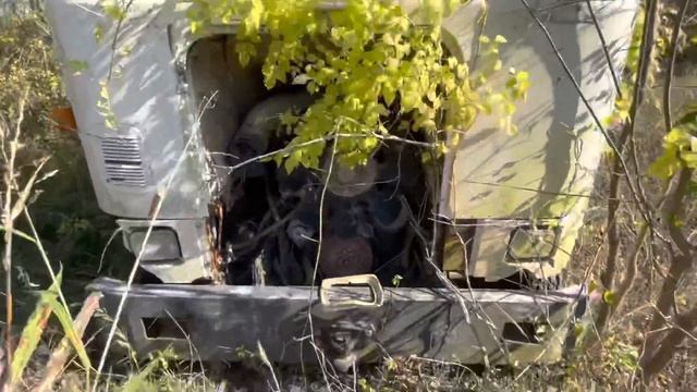 Abandoned Cabover смотреть онлайн