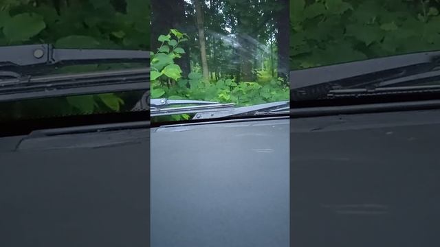 Бародари Точик да барои Абдурахмон Чоршанбе смотреть онлайн