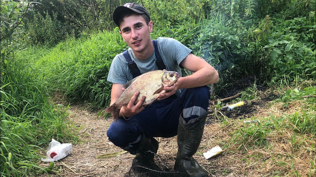 Крупный ЛЕЩ на НЕ БОЛЬШОЙ Реке Фидер в АВГУСТЕ смотреть онлайн