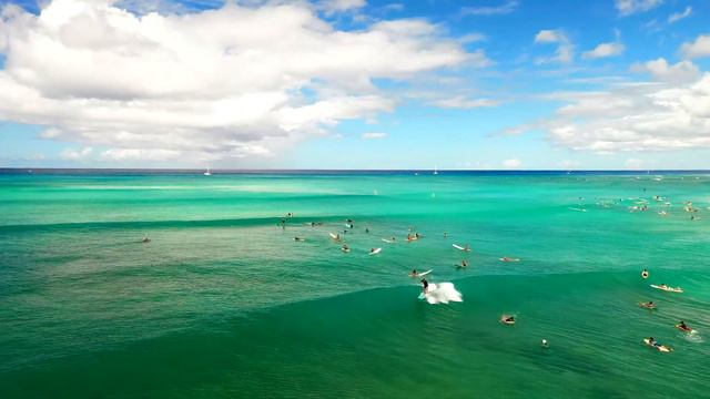 ТРОПИЧЕСКИЙ РАЙ.Позитивное видео для хорошего настроения смотреть онлайн