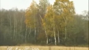 Памяти Владислава Галкина Дальнобойщики   (тихий огонек)