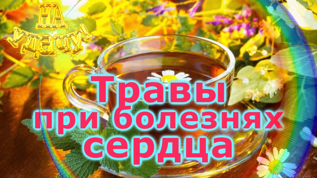 Травы при болезнях сердца смотреть онлайн
