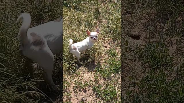 Мальчик бело лиловый в ожидании своих родителей! смотреть онлайн